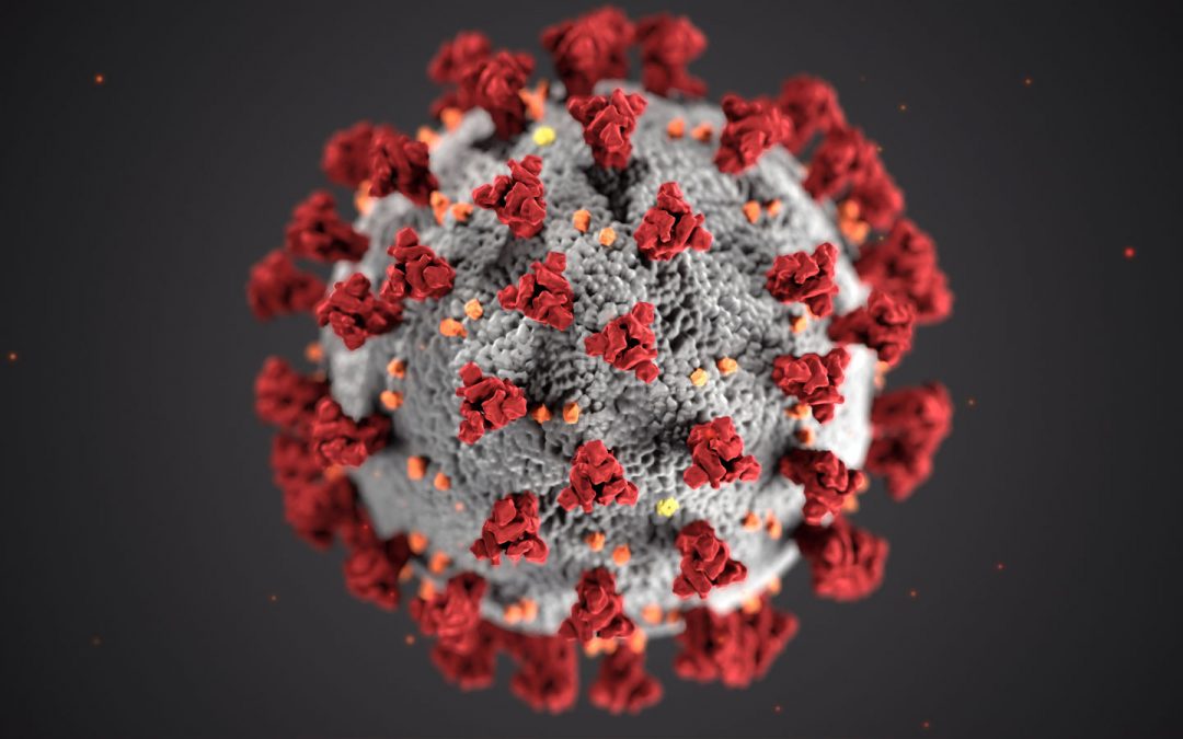 Coronavirus (SARS-CoV-2) und Ihr Haustier